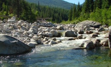 Boulders in a cold water creek